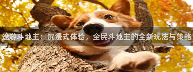 长征娱乐平台注册开户：途游斗地主：沉浸式体验，全民斗地主的全