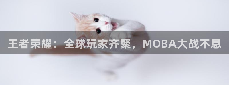 长征娱乐2登录：王者荣耀：全球玩家齐聚，MOBA大战不息