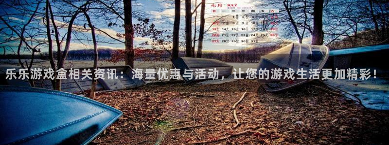 长征娱乐网址注册：乐乐游戏盒相关资讯：海量优惠与活动，让您的