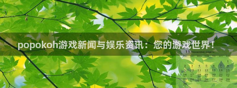 长征娱乐注册服务条款：popokoh游戏新闻与娱乐资讯：您的