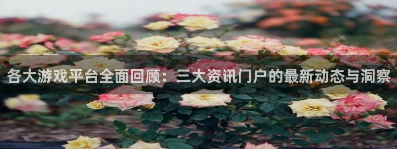 长征娱乐官网：各大游戏平台全面回顾：三大资讯门户的最新动态与