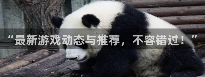 长征娱乐注册开户：“最新游戏动态与推荐，不容错过！”