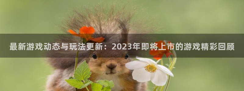 长征娱乐在线登录：最新游戏动态与玩法更新：2023年即将上市