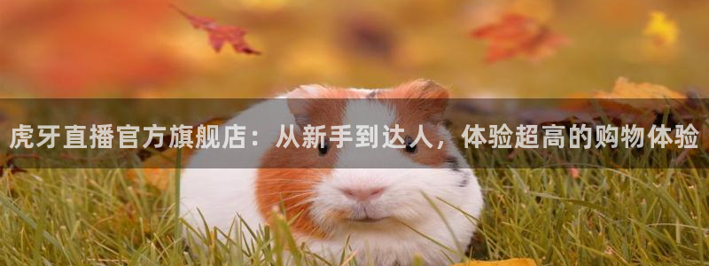 so米直播nba体育：虎牙直播官方旗舰店：从新手到达人，体验超高的购物体验